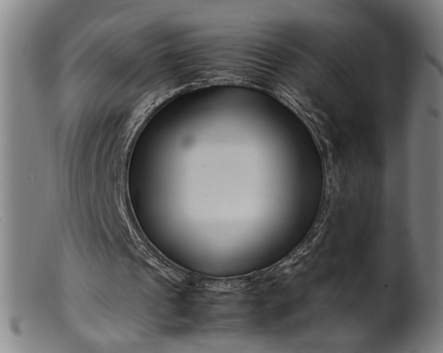 X0000099460241200805231813