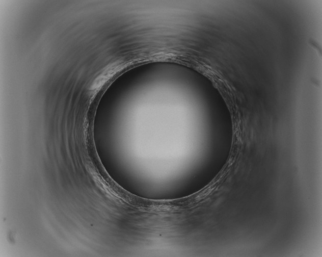 X0000099460242200805231813