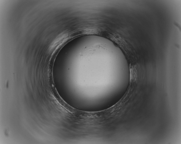 X0000099460243200805231813