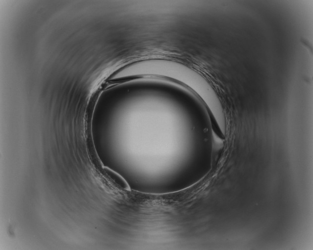 X0000099460244200805231813