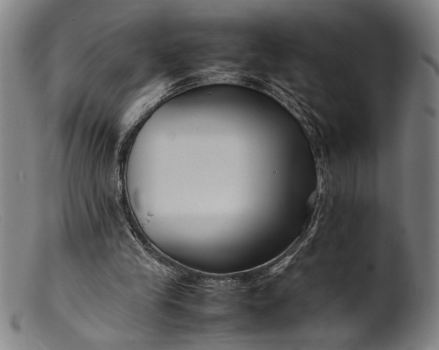 X0000099460245200805231813