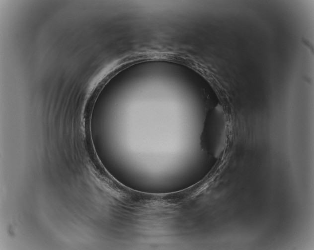 X0000099460246200805231813