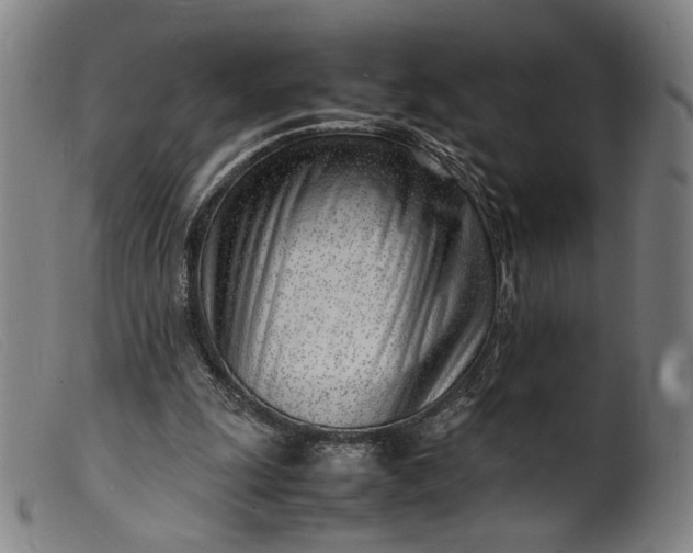 X0000099460247200805231813