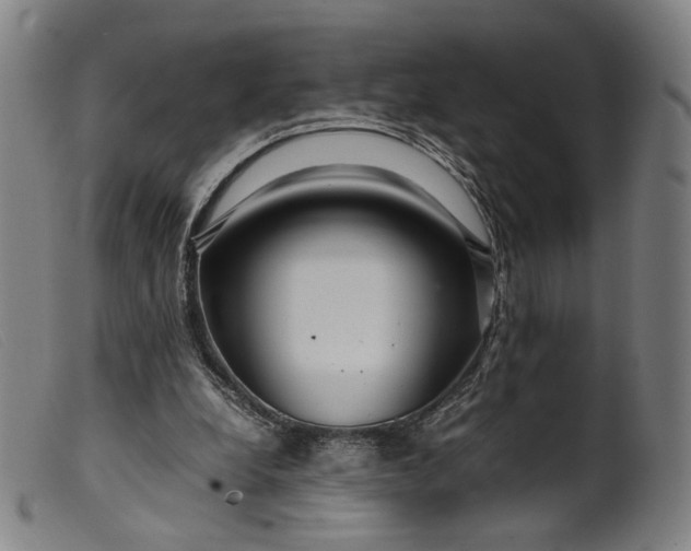 X0000099460248200805231813