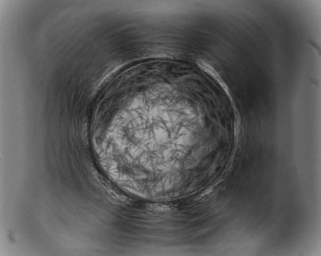 X0000099460249200805231813