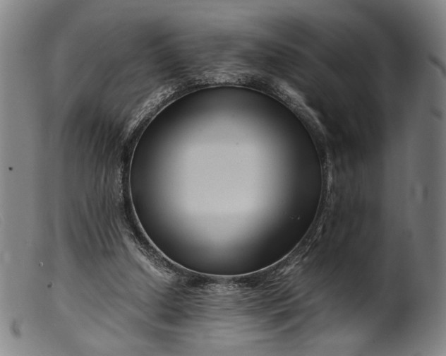 X0000099460250200805231813