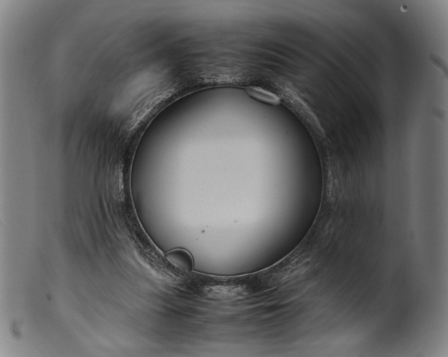 X0000099460251200805231813