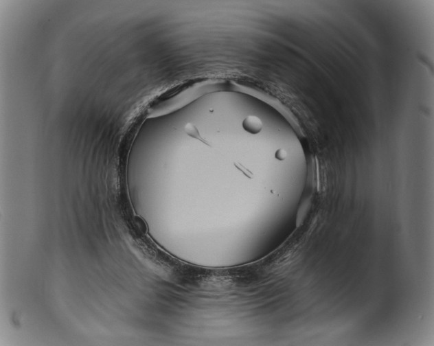 X0000099460252200805231813