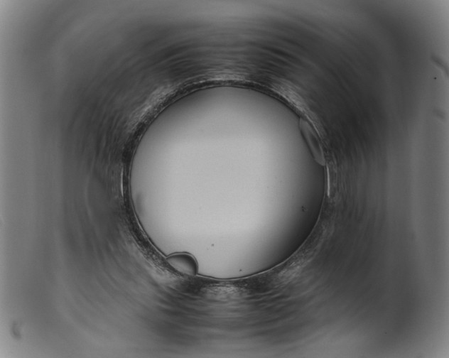 X0000099460253200805231813