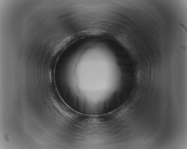 X0000099460254200805231813