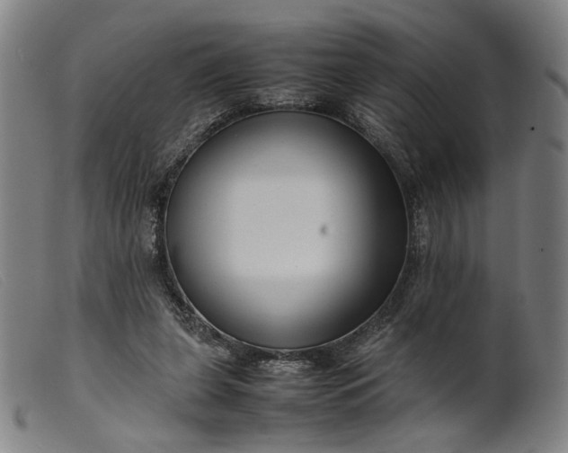 X0000099460255200805231813