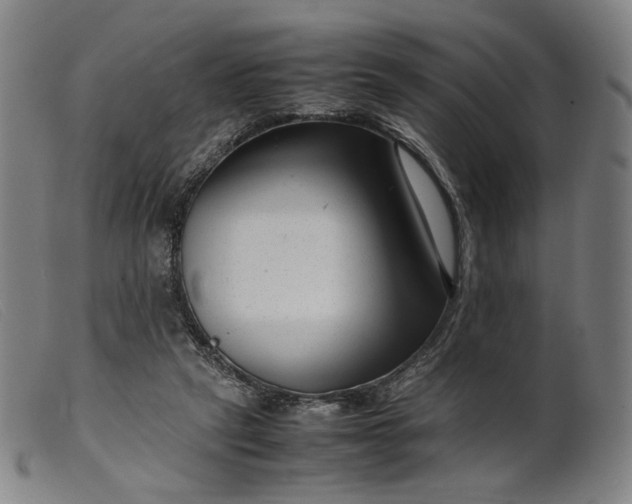 X0000099460257200805231813