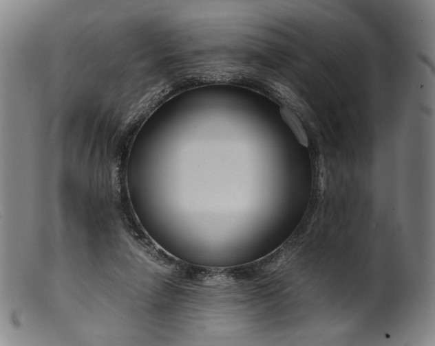 X0000099460258200805231813