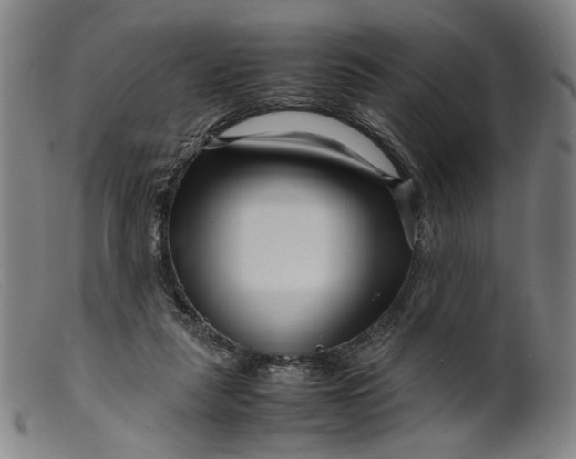 X0000099460259200805231813