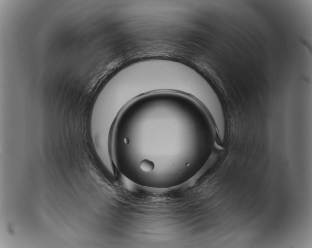 X0000099460260200805231813