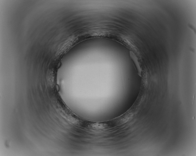 X0000099460261200805231813