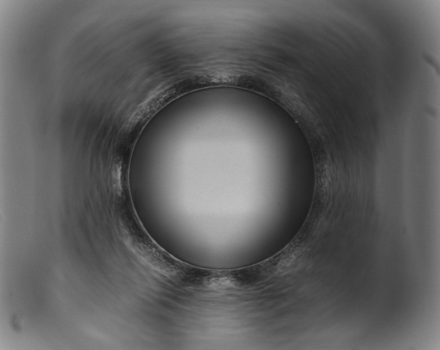 X0000099460262200805231813