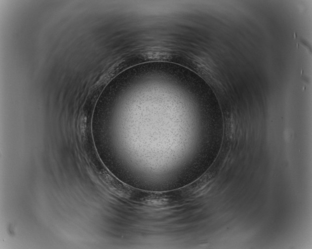 X0000099460263200805231813