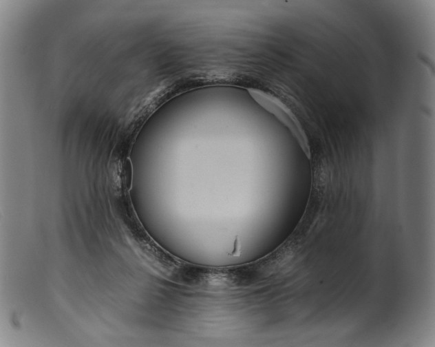 X0000099460264200805231813