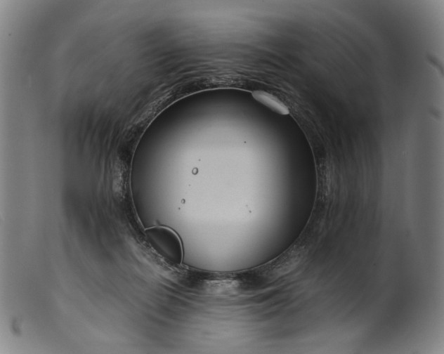 X0000099460266200805231813