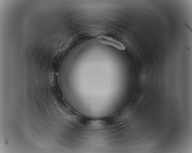 X0000099460268200805231813