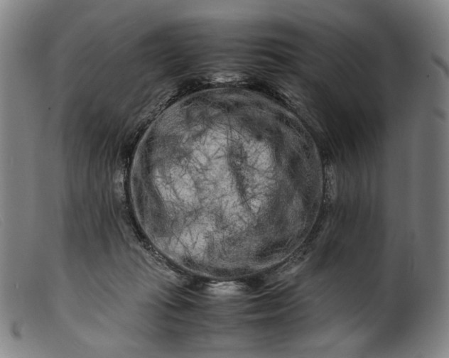 X0000099460269200805231813