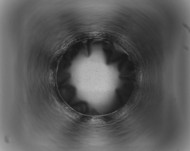 X0000099460270200805231813