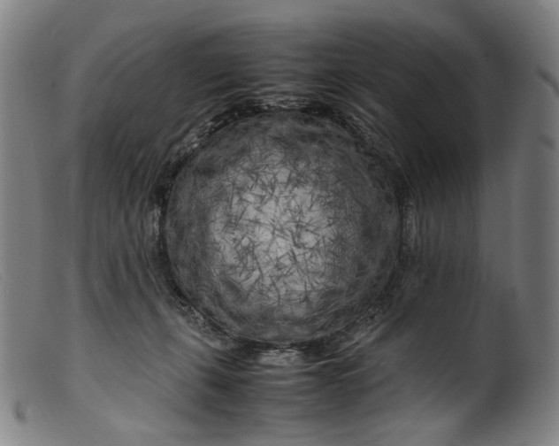 X0000099460271200805231813