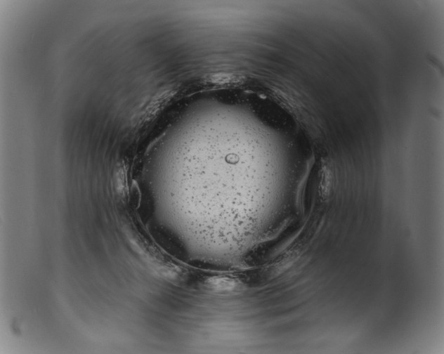 X0000099460272200805231813