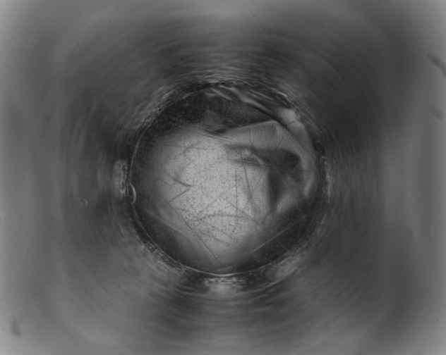 X0000099460273200805231813