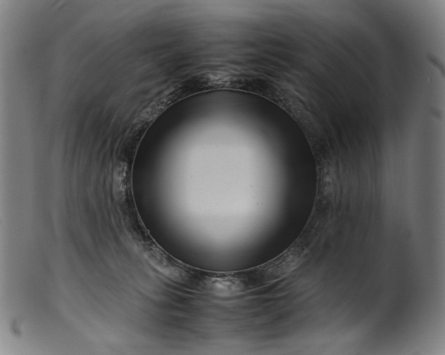 X0000099460275200805231813