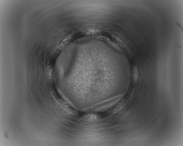 X0000099460276200805231813