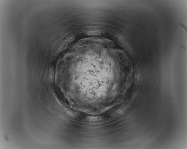 X0000099460277200805231813