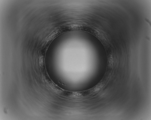 X0000099460278200805231813