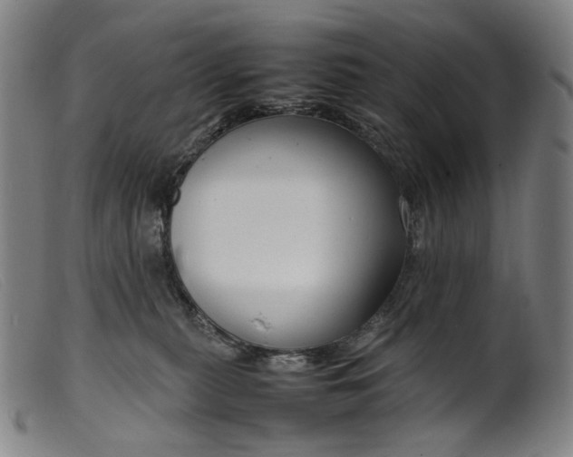 X0000099460279200805231813