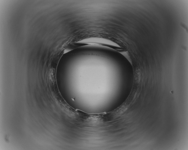 X0000099460280200805231813