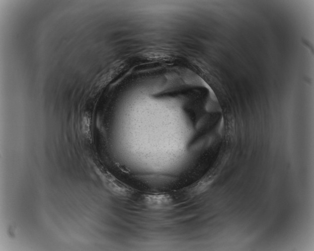 X0000099460281200805231813