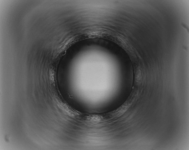 X0000099460282200805231813