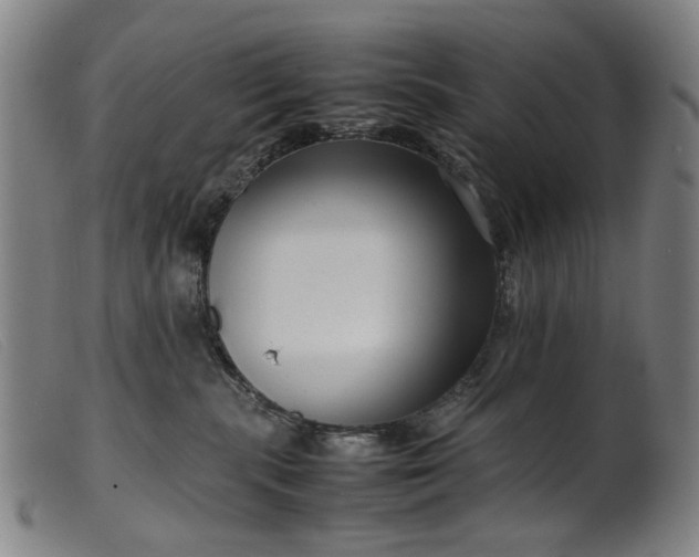 X0000099460283200805231813