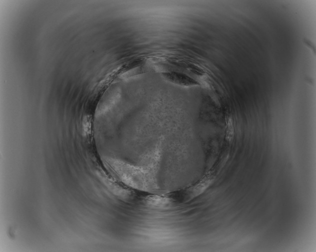 X0000099460284200805231813