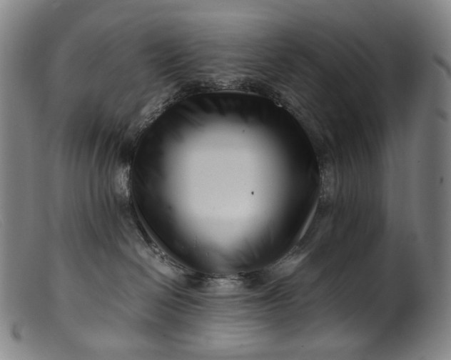 X0000099460286200805231813