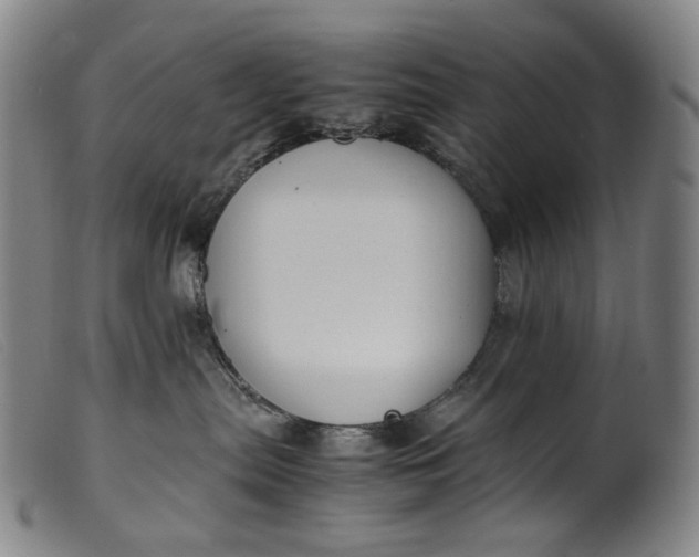 X0000099460287200805231813