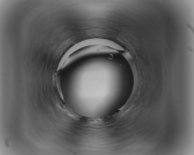 X0000099460288200805231813