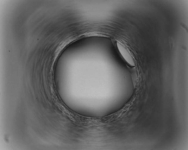 X0000099460289200805231813