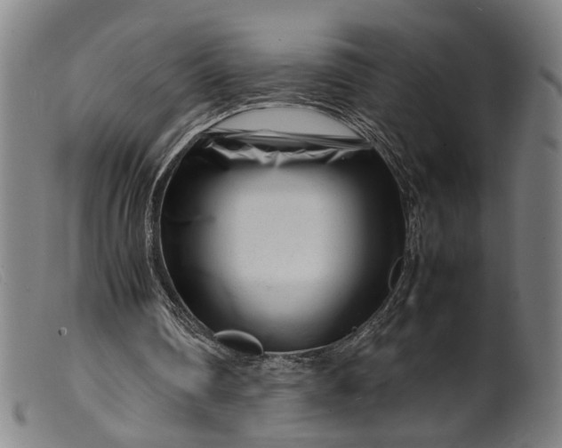 X0000099460290200805231813