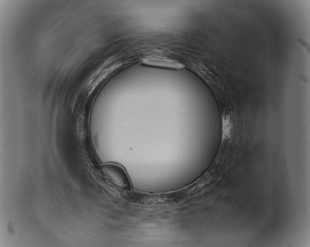 X0000099460291200805231813