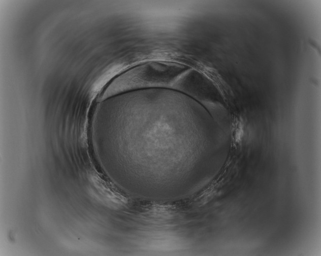 X0000099460292200805231813