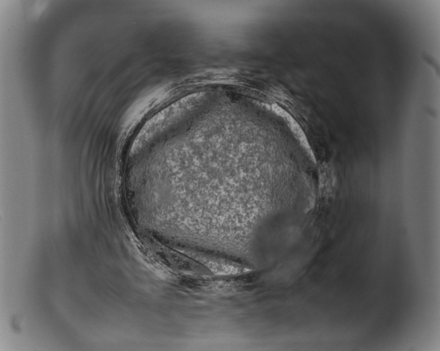 X0000099460293200805231813