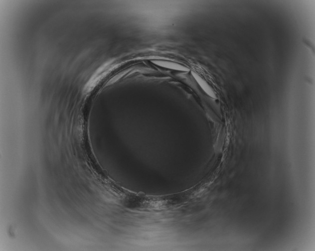 X0000099460295200805231813