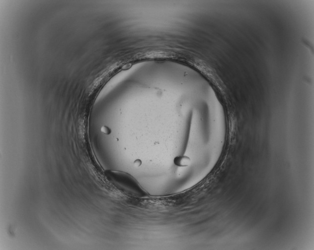 X0000099460297200805231813